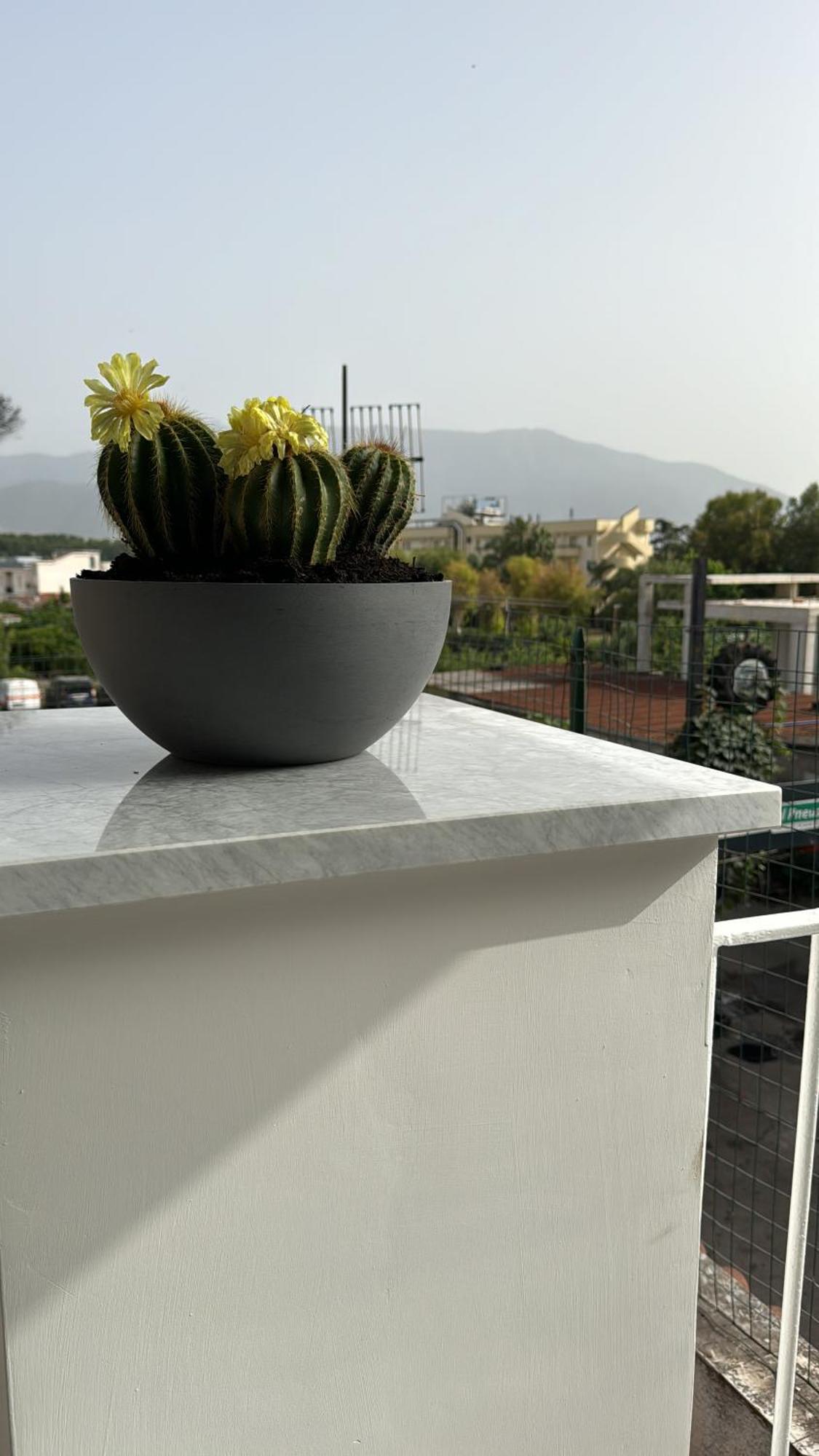 Vesuvius Pompeii Bed and Breakfast Εξωτερικό φωτογραφία